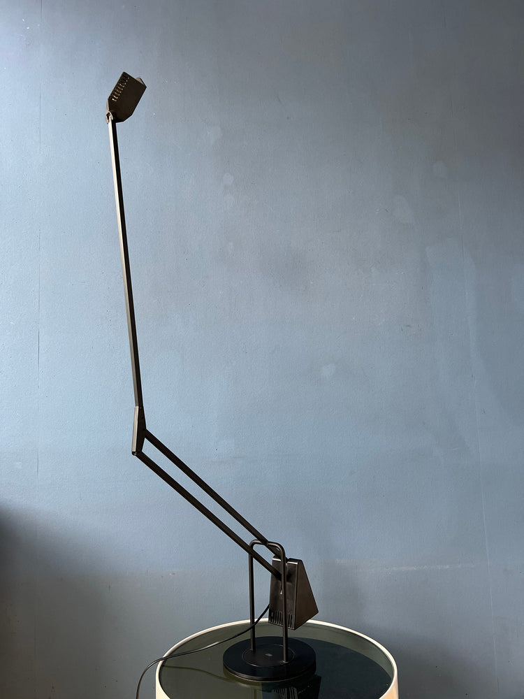 Postmodern 80s Flamingo Desk Lamp by Fridolin Naef for Luxo