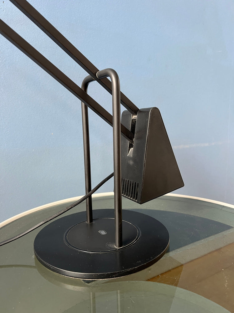 Postmodern 80s Flamingo Desk Lamp by Fridolin Naef for Luxo