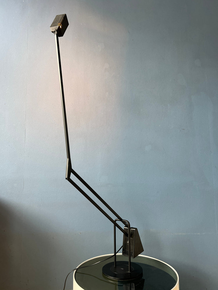 Postmodern 80s Flamingo Desk Lamp by Fridolin Naef for Luxo